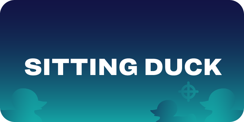 Graphic displaying the text “Sitting Duck” on a gradient background